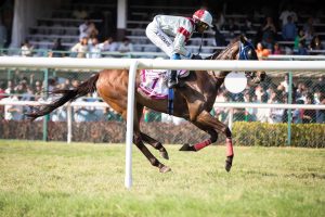 What is Horse Racing Tips India: Pro Tips to Win in India (2027)