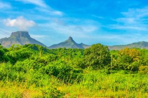Is Easy Legal Betting Apps in India Legal in India? Complete 2027 Guide